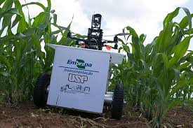 Leveraging IT Solutions for Agriculture: Transforming the Future of Farming 6 it-solutions-for-sgriculture